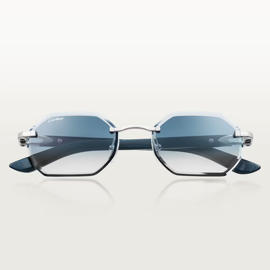Cartier CT0439S 007