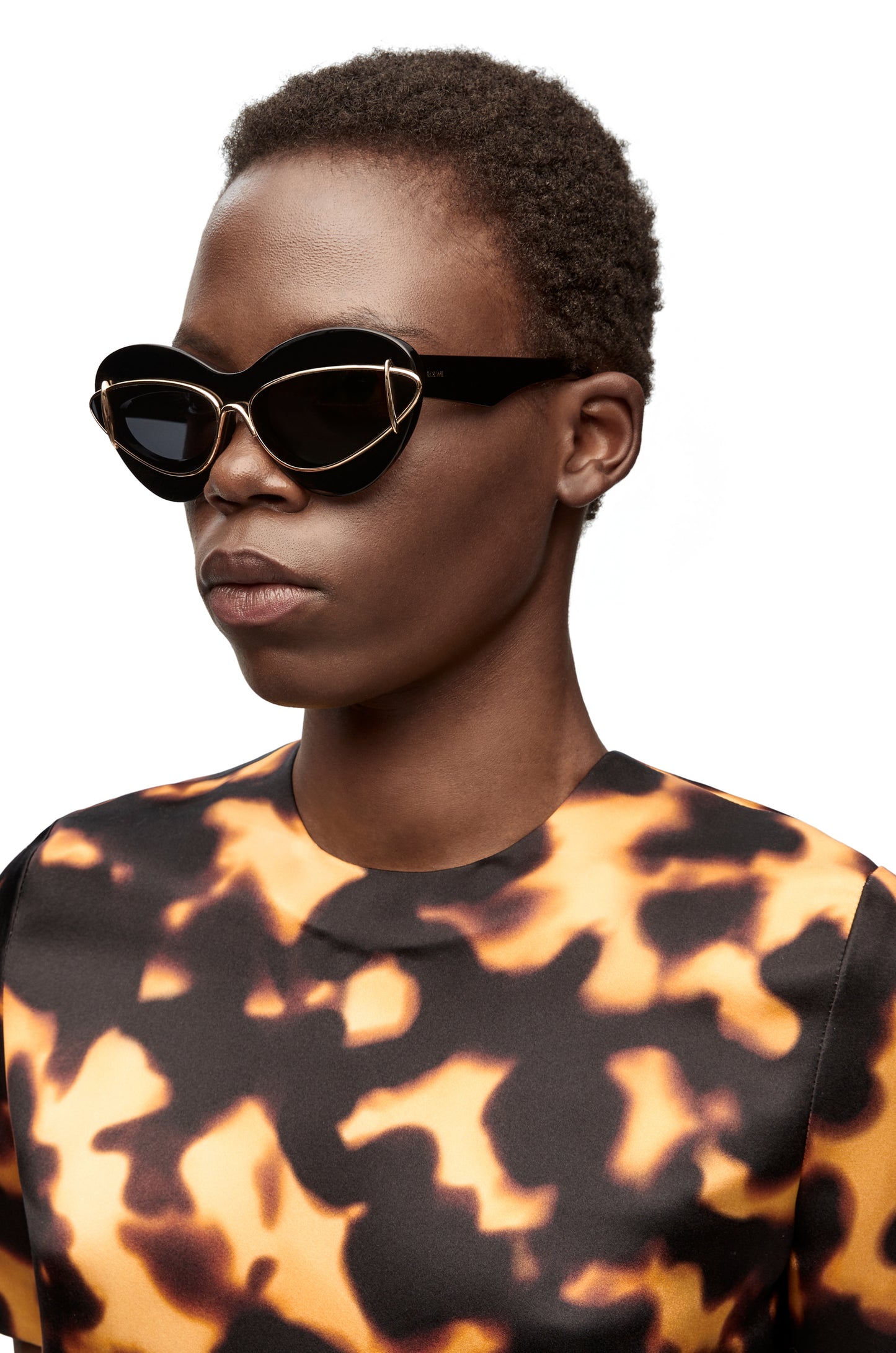 Loewe