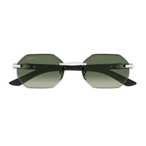 Cartier CT0439S 008