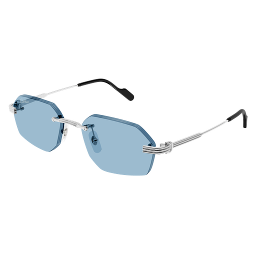 Cartier CT0616S 005