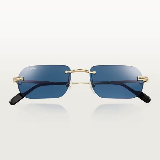 Cartier CT0577S 003