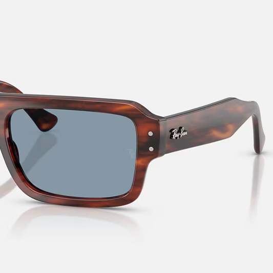 Ray-ban RB4454