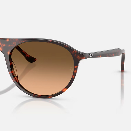 Ray-Ban RB2215