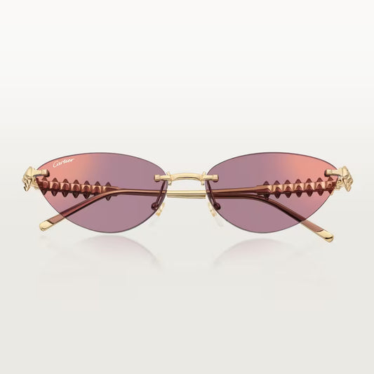 Cartier CT0543S 004