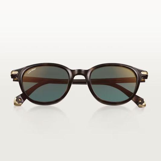 Cartier CT0584S 002