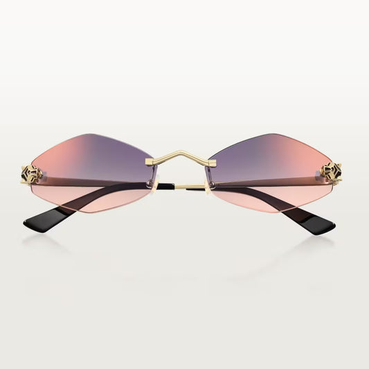Cartier CT0433S 005