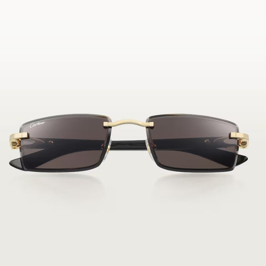 Cartier CT0582S 001