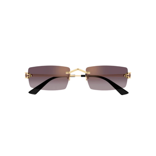 Cartier CT0598S 005
