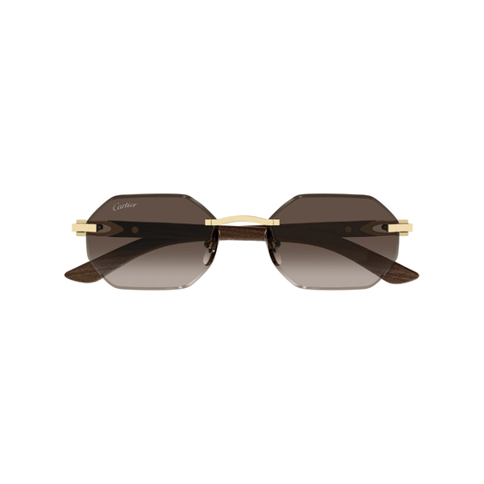 Cartier CT0362S 006