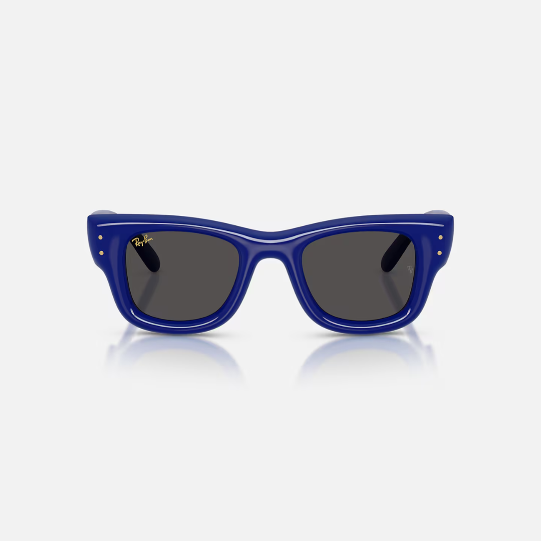 Ray-ban Puffer