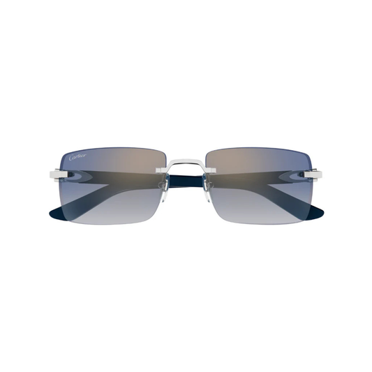 Cartier CT0579S 008