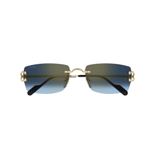 Cartier CT0550S 002