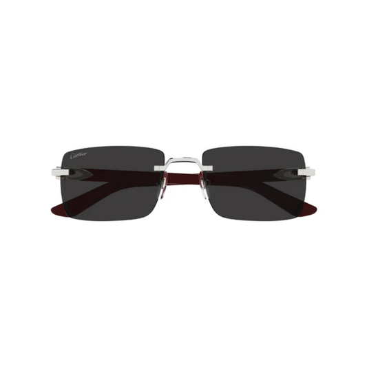 Cartier CT0579S 006