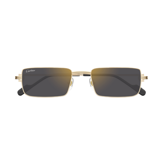 Cartier CT0501S 005