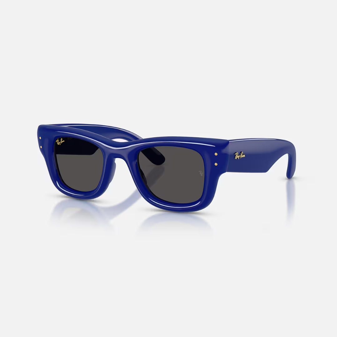 Ray-ban Puffer