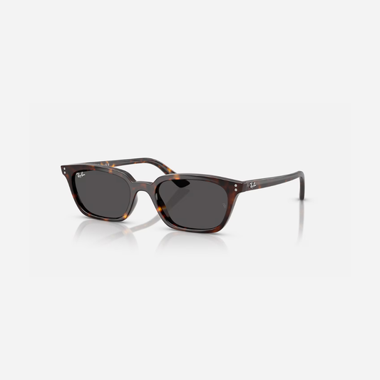 Ray-ban RB4456 zaya