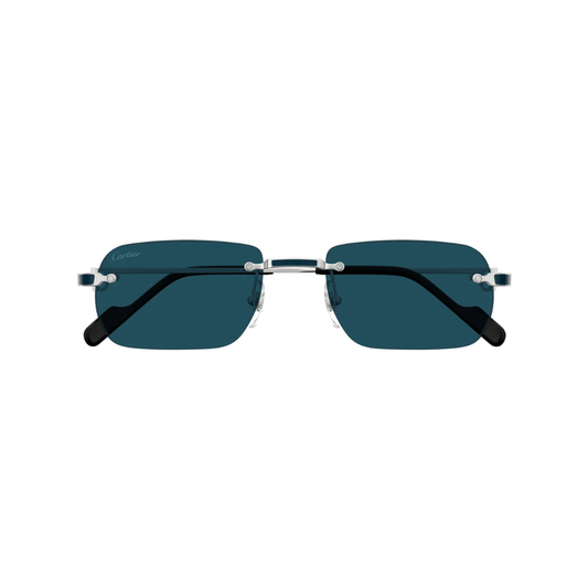 Cartier CT0498S 004