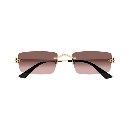 Cartier CT0598S 004