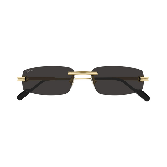 Cartier CT0535S 001