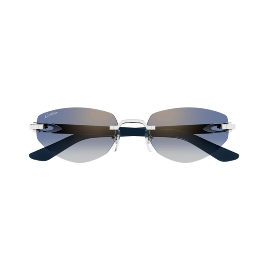 Cartier CT0580S 004