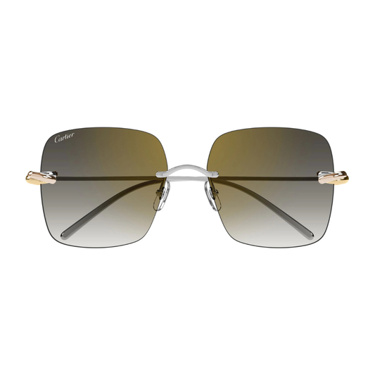 Cartier CT0508S 002