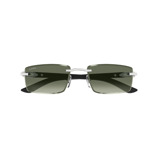 Cartier CT0582S 005