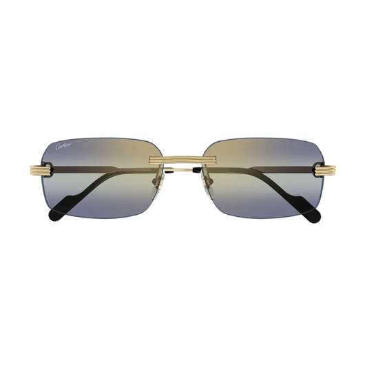 Cartier CT02710S 006