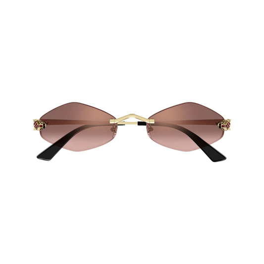 Cartier CT0433S 006