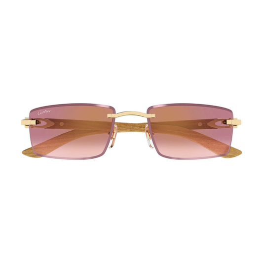 Cartier CT0582S 002