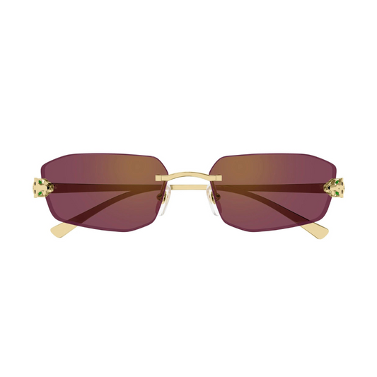 Cartier CT0474 006