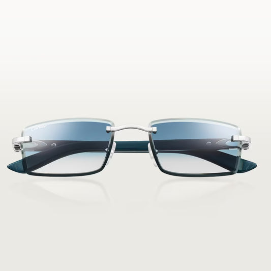 Cartier CT0582S 004
