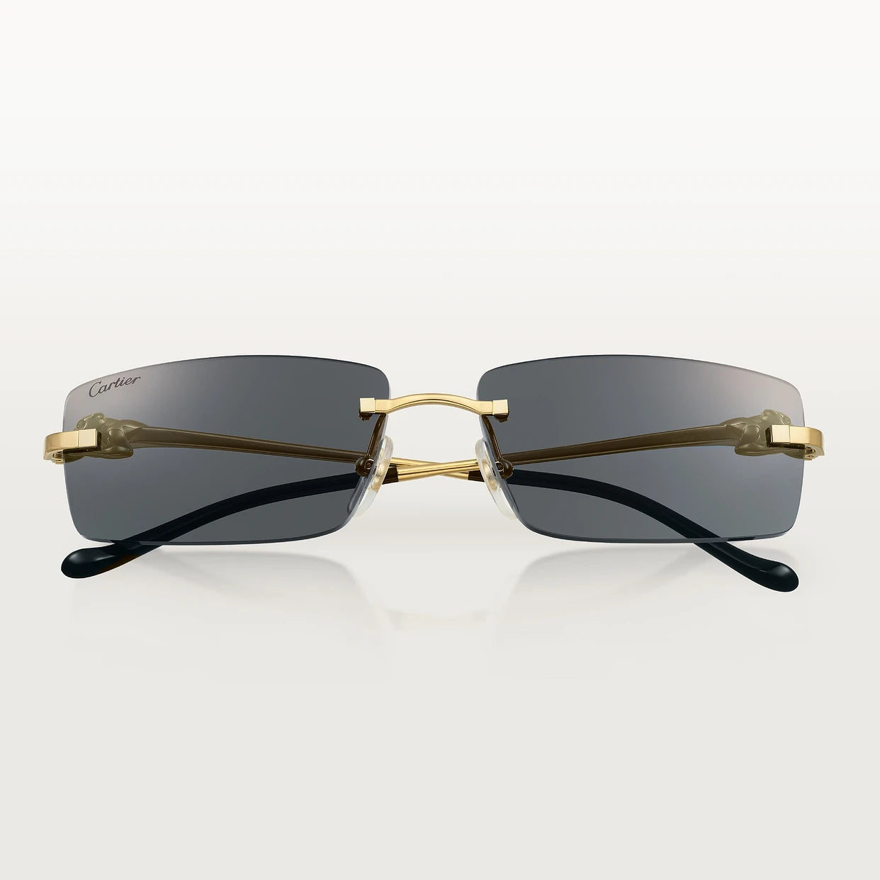 Cartier CT0430S 001