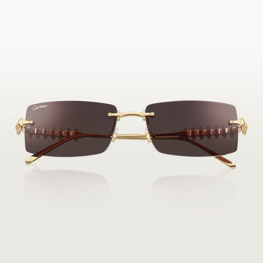 Cartier CT0604S 001