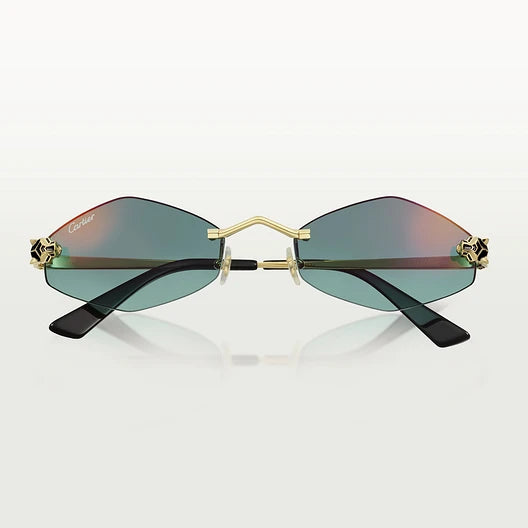Cartier CT0433S 003