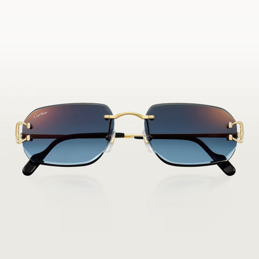 Cartier CT0468S 002