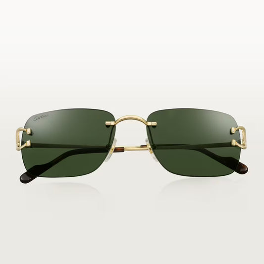 Cartier CT0330S 002
