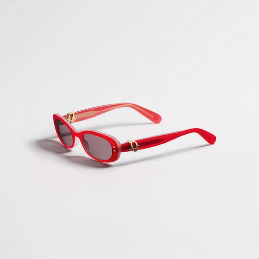 Christian  Dior Oblique B1I