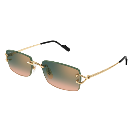 Cartier CT0550S 009