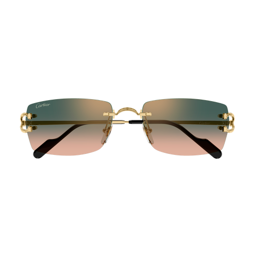 Cartier CT0550S 009
