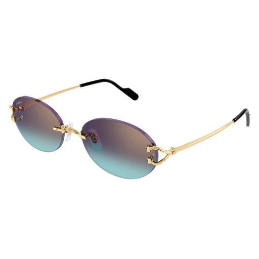 Cartier CT0551S 008
