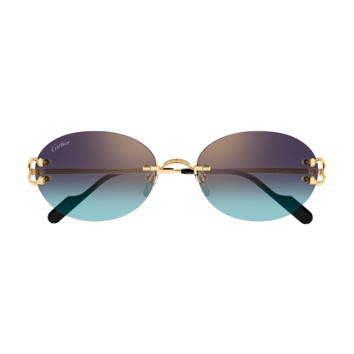 Cartier CT0551S 008