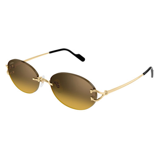 Cartier CT0551S 009