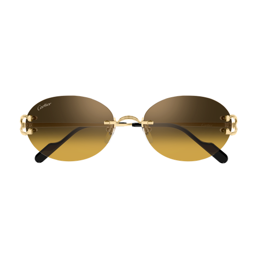 Cartier CT0551S 009