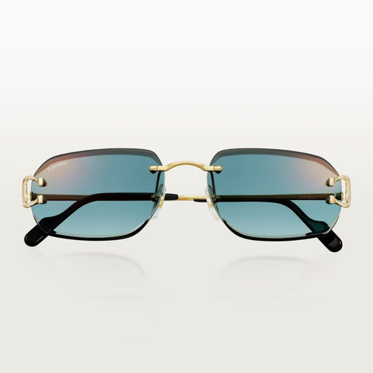 Cartier CT0468S 003