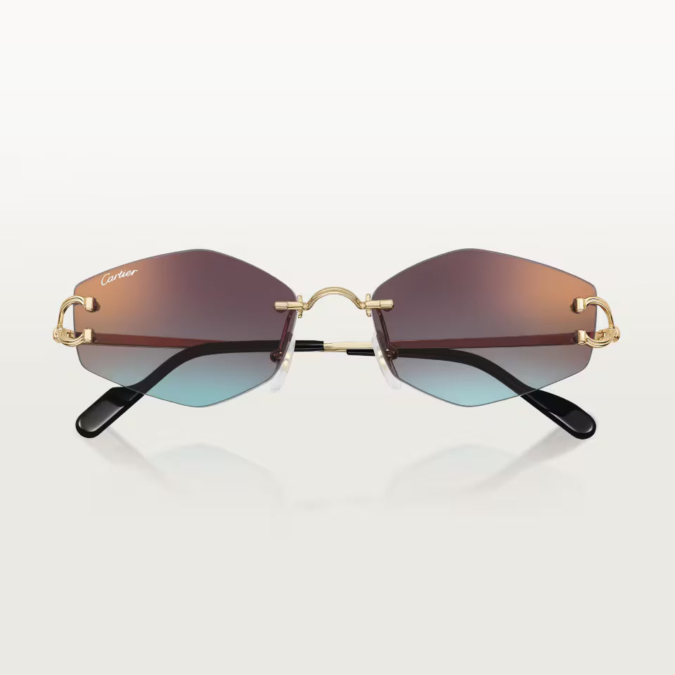 Cartier CT0620S 005