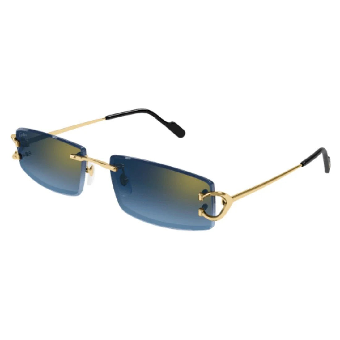 Cartier CT0465S 002