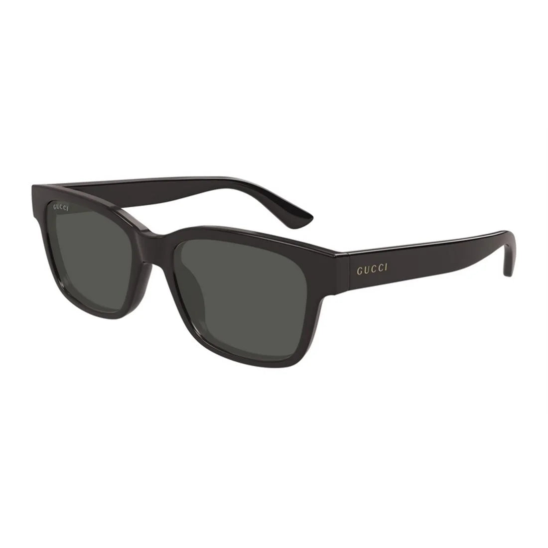 Gucci GG1716S 003