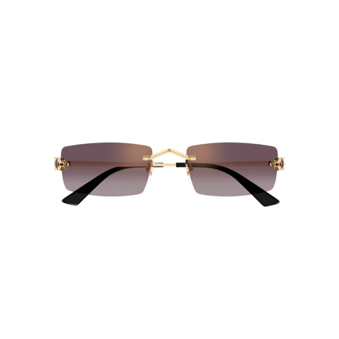 Cartier CT0598S 005