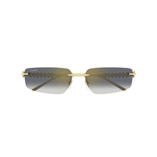 Cartier CT0544S 001