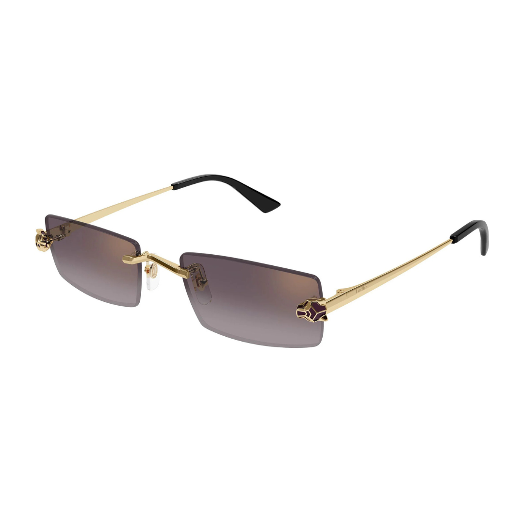 Cartier CT0598S 005